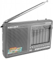всеволновый радиоприемник высокого класса Degen DE1103 DSP titanium