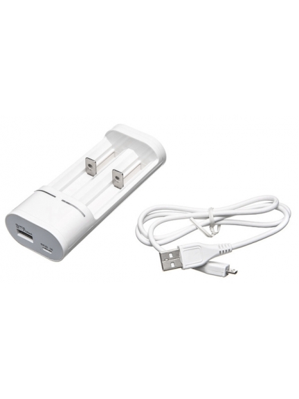 зарядное устройство Robiton Smart 2