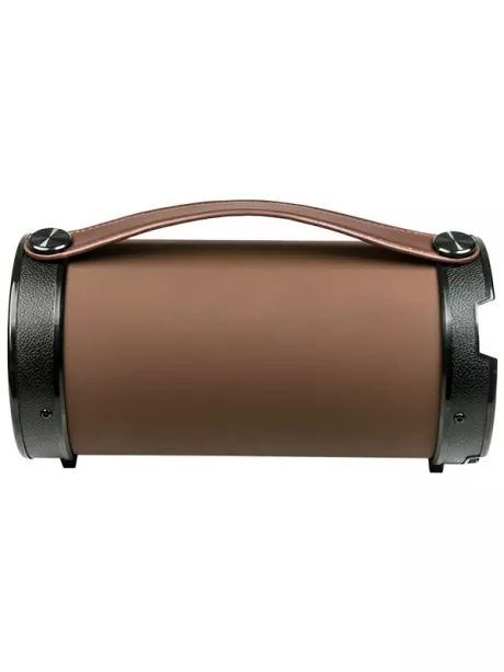 bluetooth колонка Dialog Progressive AP-1000 brown