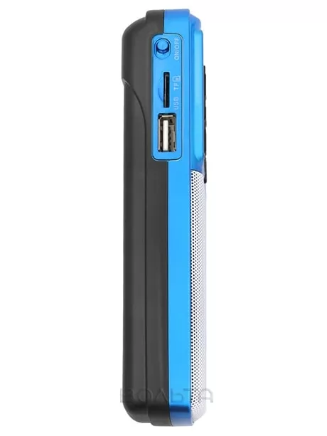 портативный радиоприемник с USB PERFEO i120 "ЕГЕРЬ" синий
