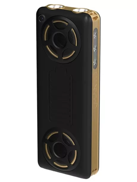 мобильный телефон с функцией караоке Maxvi P20 black-gold