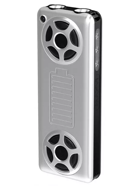 мобильный телефон с функцией караоке Maxvi P20 silver-black