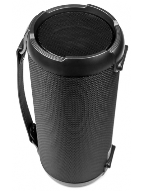 bluetooth колонка Dialog Progressive AP-950 black