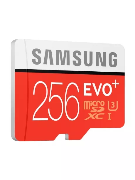 карта памяти Samsung 256Gb microSDXC Class 10 EVO PLUS 