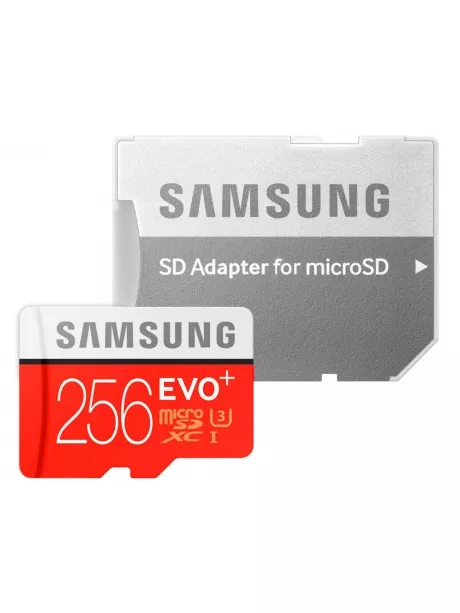 карта памяти Samsung 256Gb microSDXC Class 10 EVO PLUS 