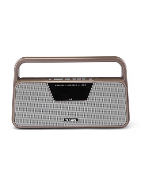 радиоприемник с пультом ДУ и MP3 плеером Tecsun A9 brown