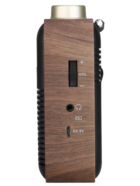 переносной ретро радиоприемник Retekess TR614 