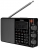 всеволновый цифровой радиоприемник Tecsun PL-880 (export version) black