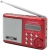 Портативный радиоприемник с usb входом PERFEO Sound Ranger PF-SV922 красный