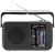 Всеволновый переносной радиоприемник Tecsun R-303 black